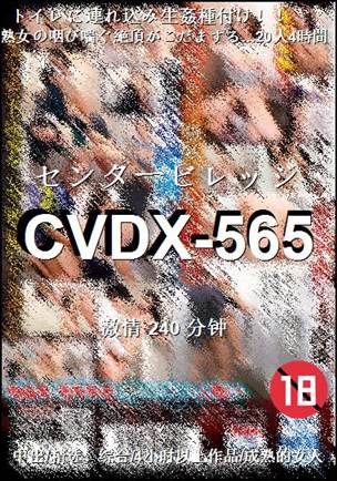 CVDX-565种子